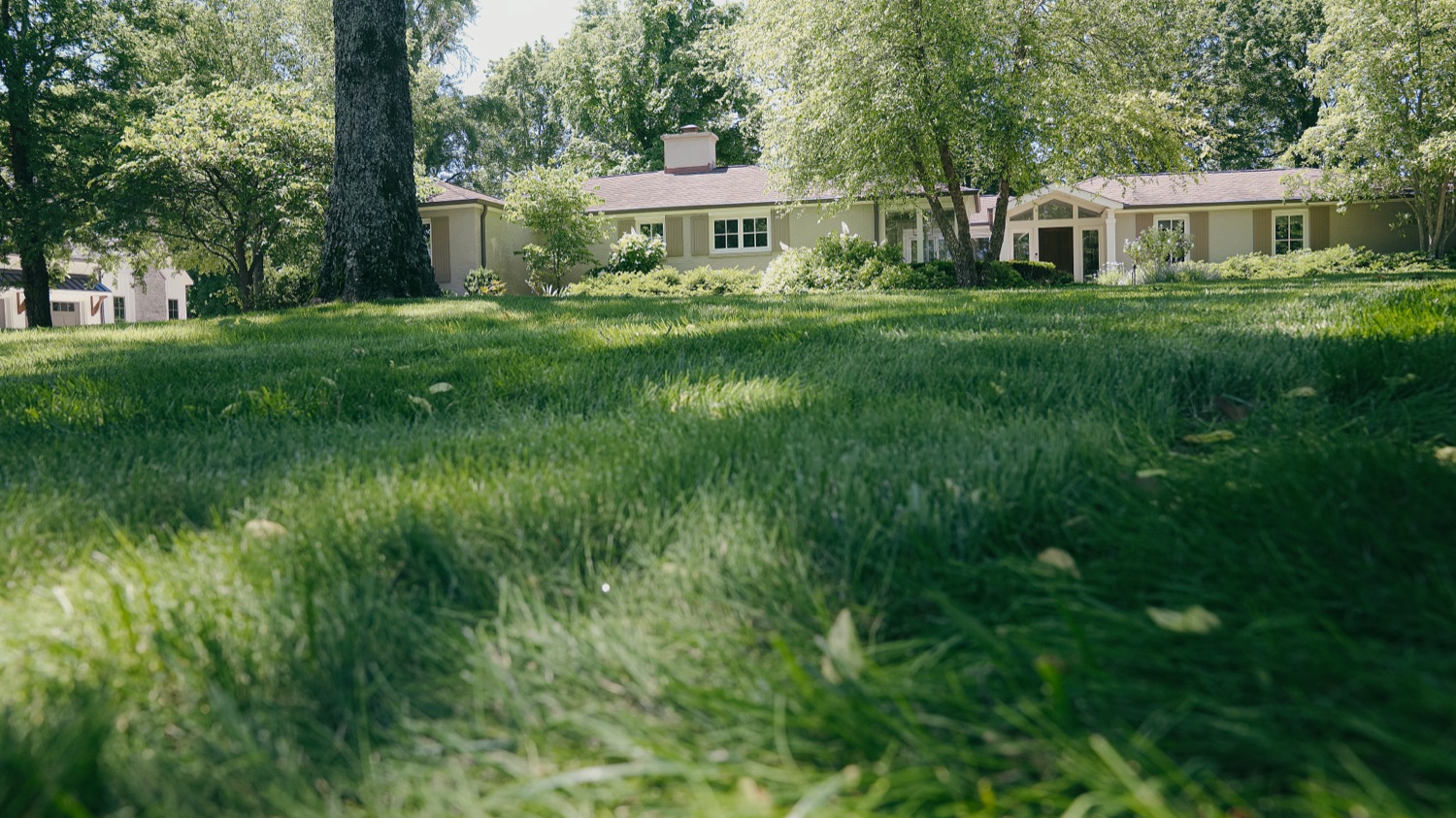 A Pure Turf lawn in Maury County