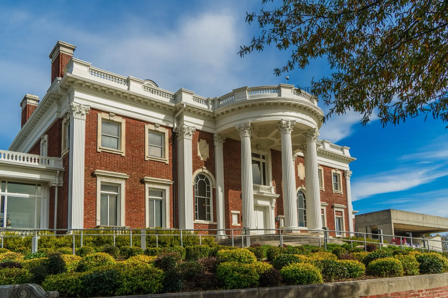 A Pure Turf lawn in Williamson County