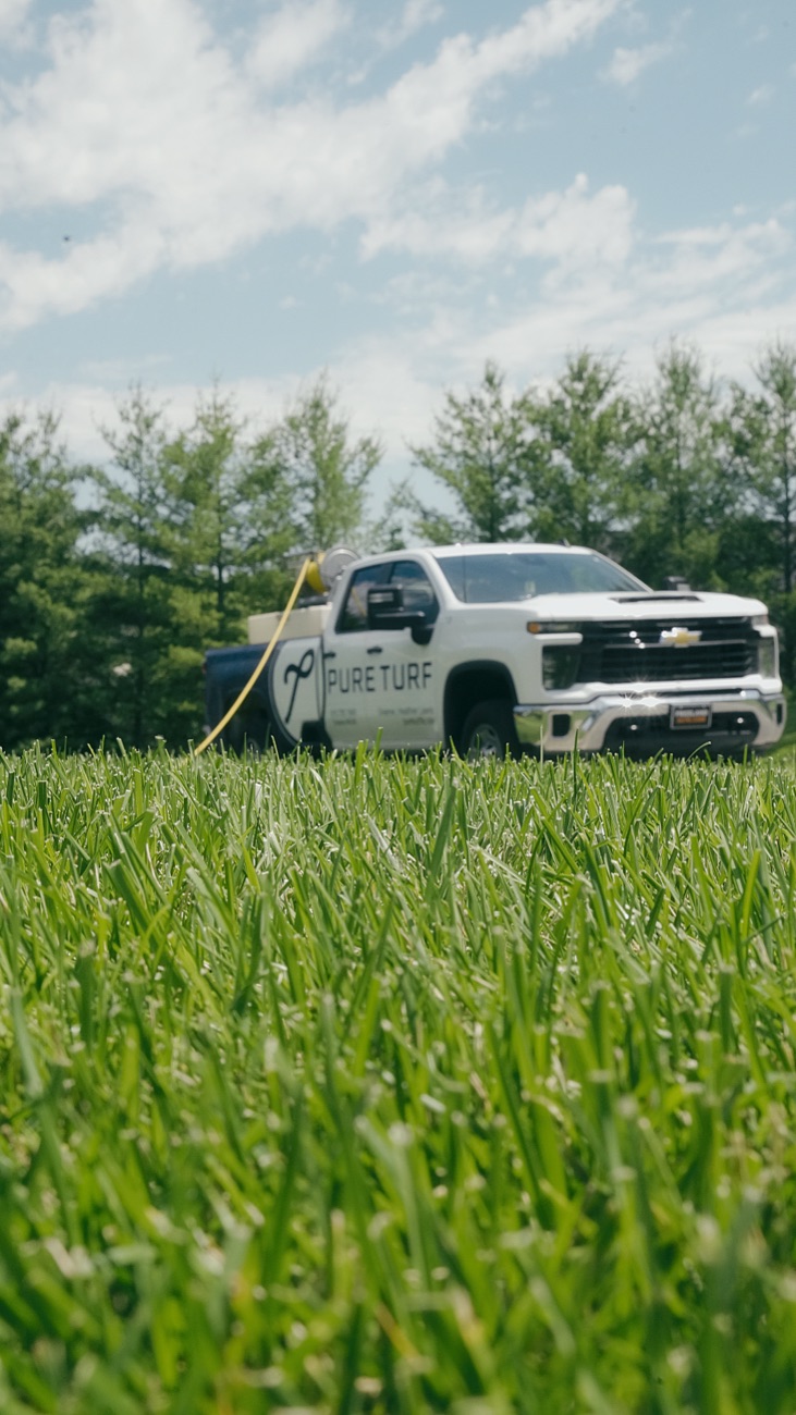 A Pure Turf lawn in Wilson County