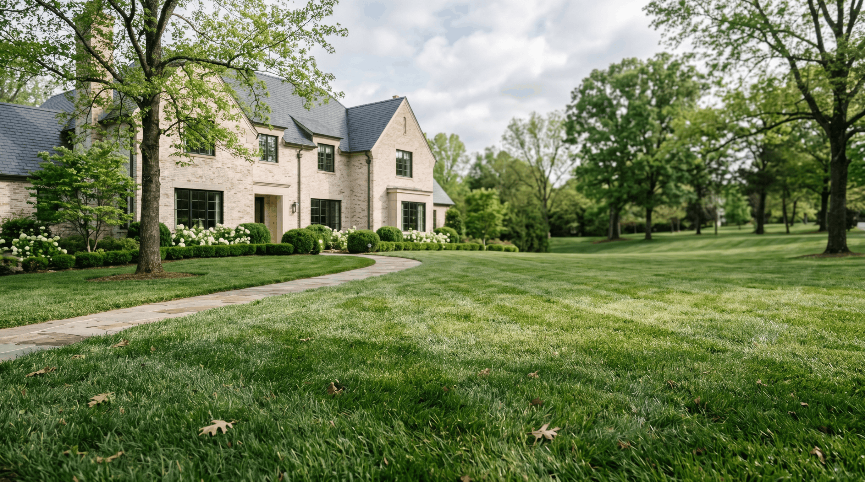 A Pure Turf lawn in White House, Tennessee