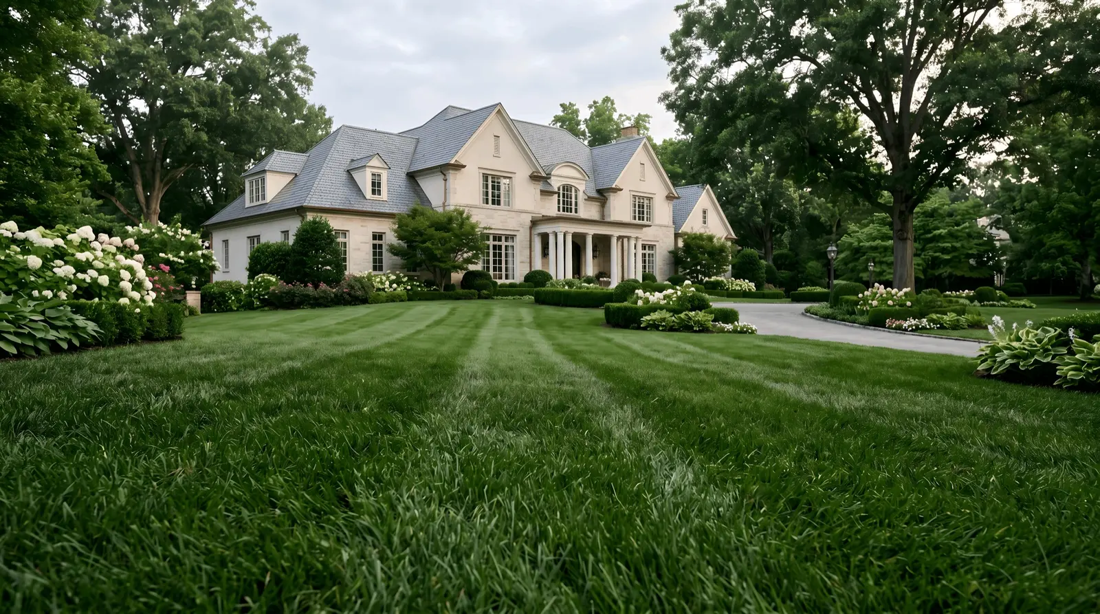 A Pure Turf lawn in Forest Hills, Tennessee