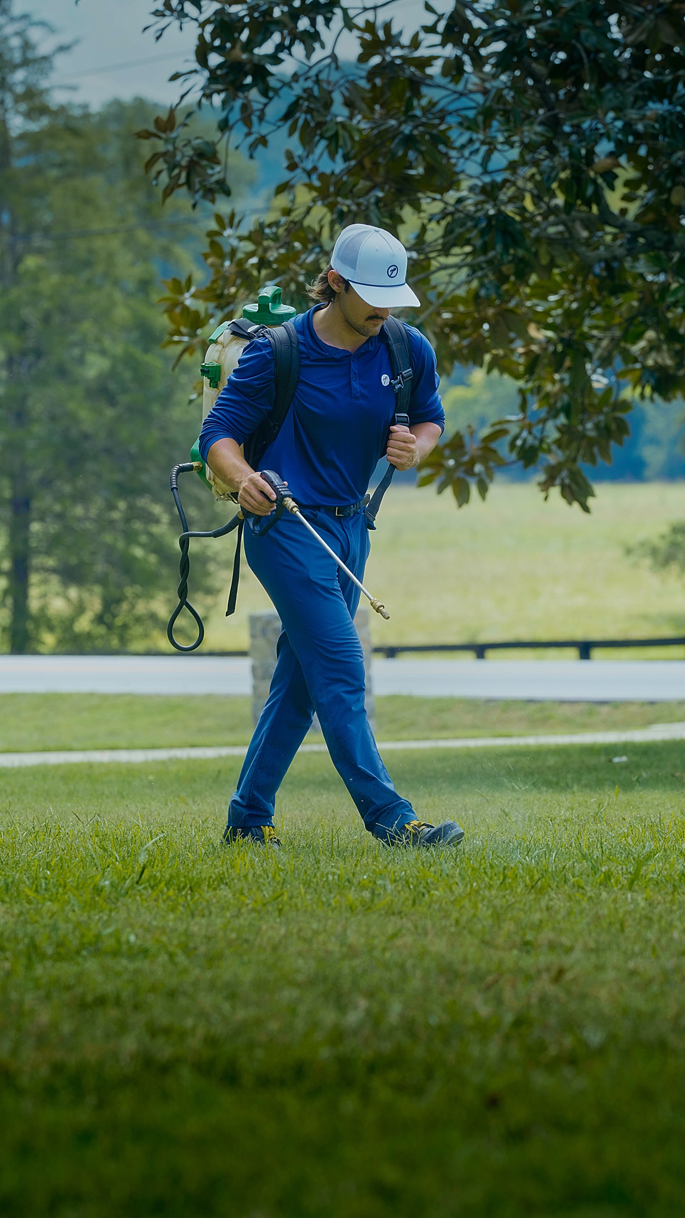A Pure Turf–maintained lawn in Belle Meade, Tennessee
